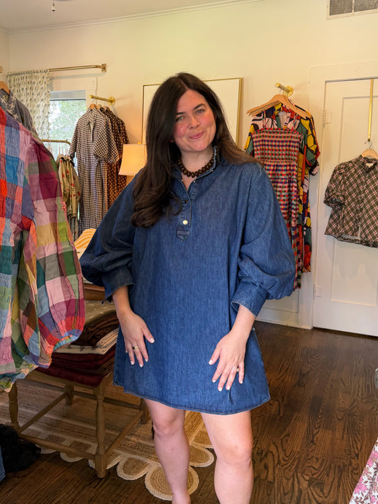 Brookey Denim Dress