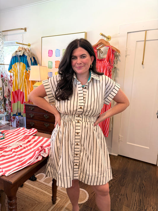 Brown Stripe Mini Dress