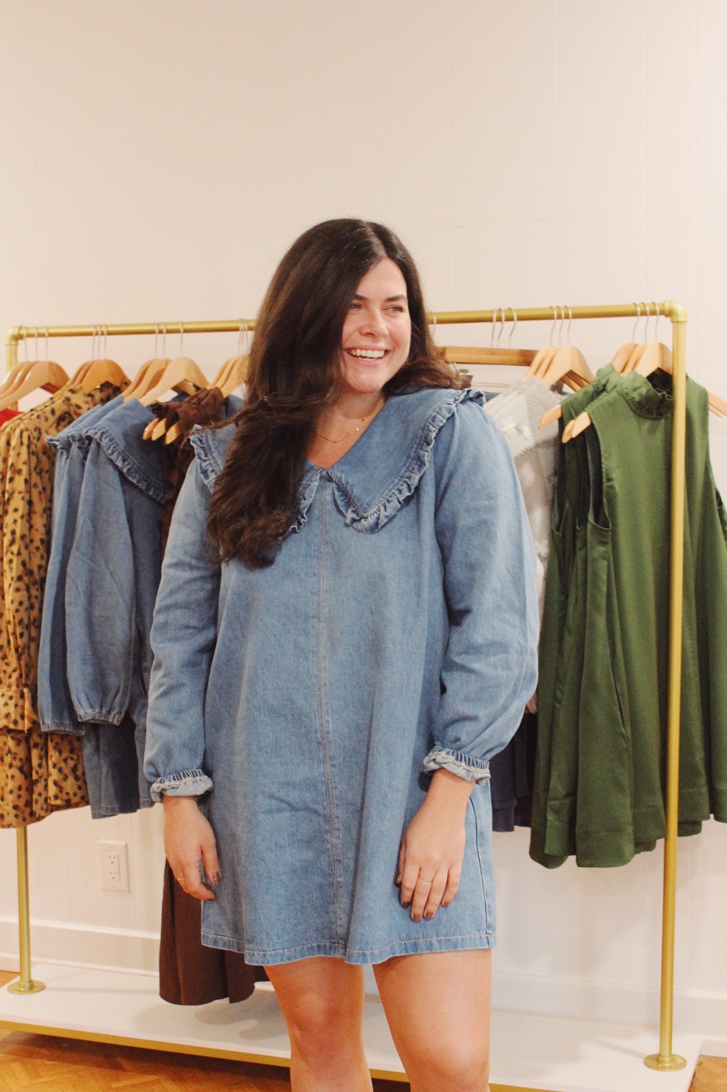 Ashley Denim Dress