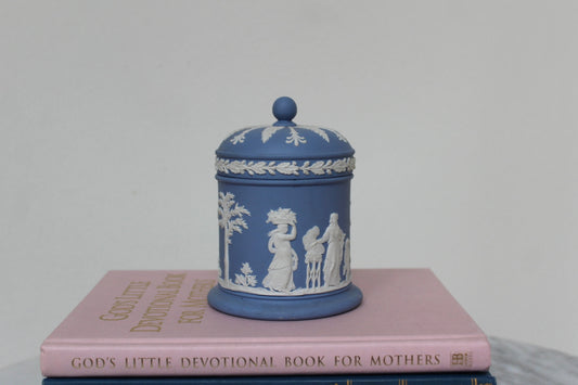 Light blue Wedgwood canister shown from a distance on a stack of books